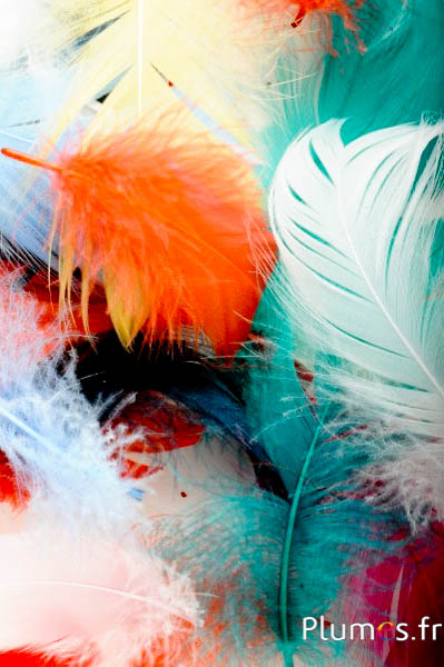 Gans - 4-6 cm - bunt